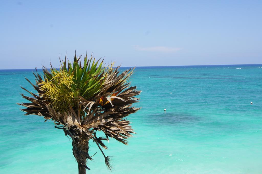 Shambala Eco Playa del Carmen