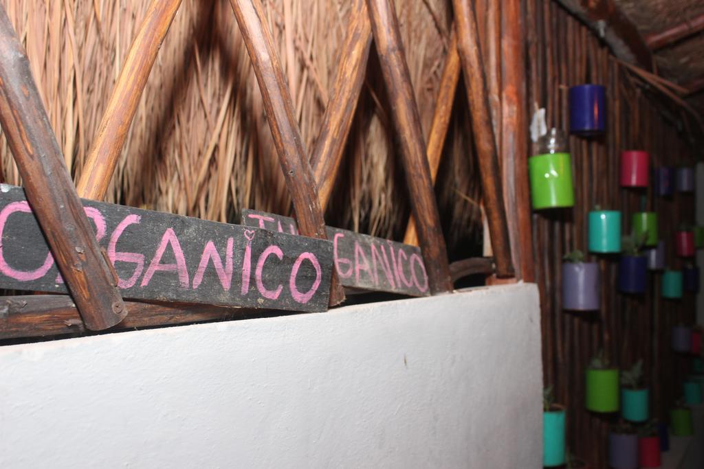 Guest house Shambala Eco