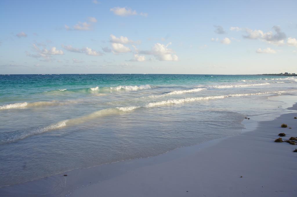 Shambala Eco Playa del Carmen